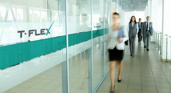 t flex 俄羅斯軟件產(chǎn)品開(kāi)發(fā)公司